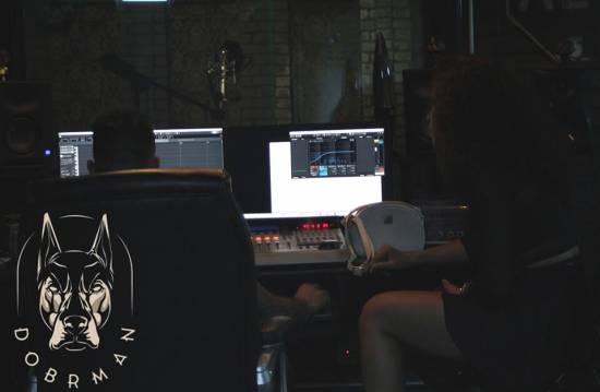 dobrman-studio2